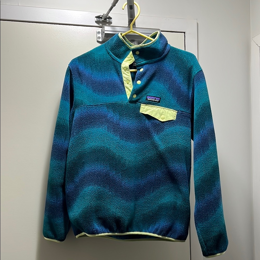 Patagonia Blue and Green Sweater